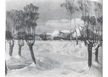 Paesaggio con alberi sotto la neve 